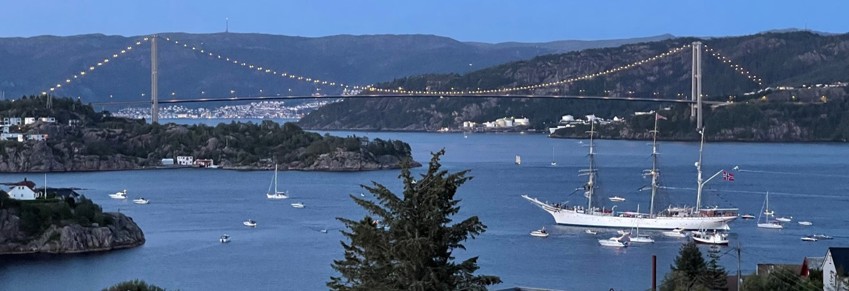 Sporadisk oppdatering av hjemmesiden